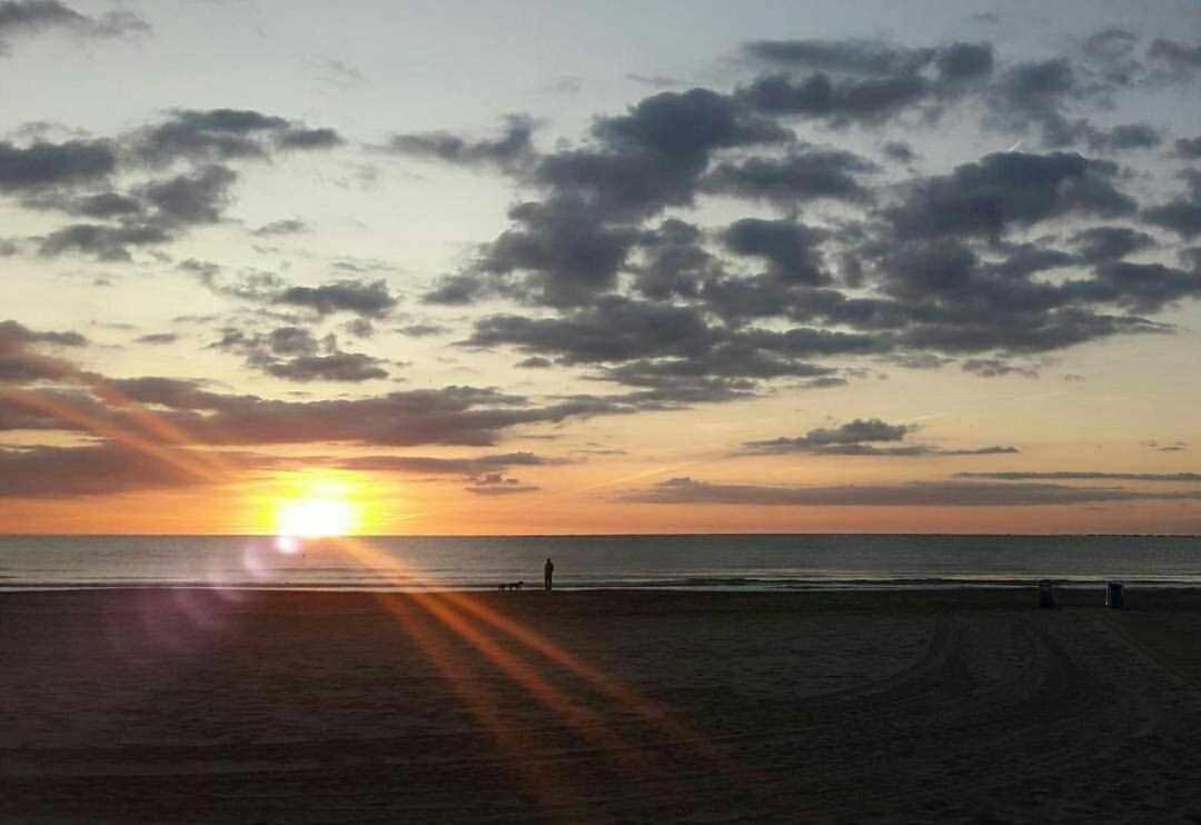 Mediterrania Marina Sagunto 部屋 写真