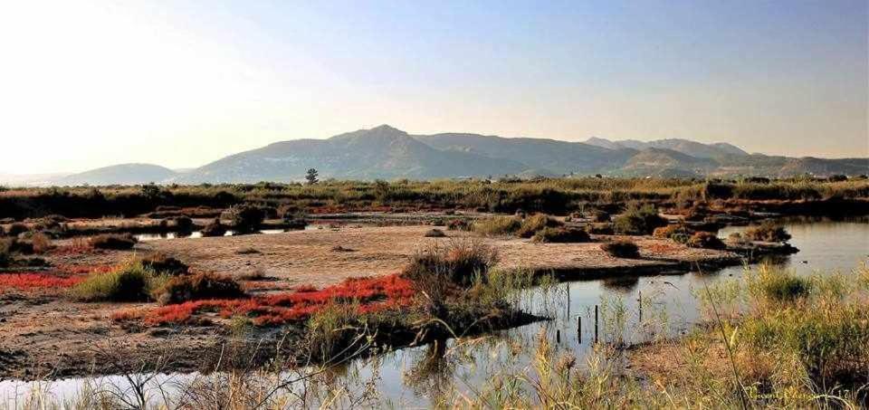 Mediterrania Marina Sagunto 部屋 写真